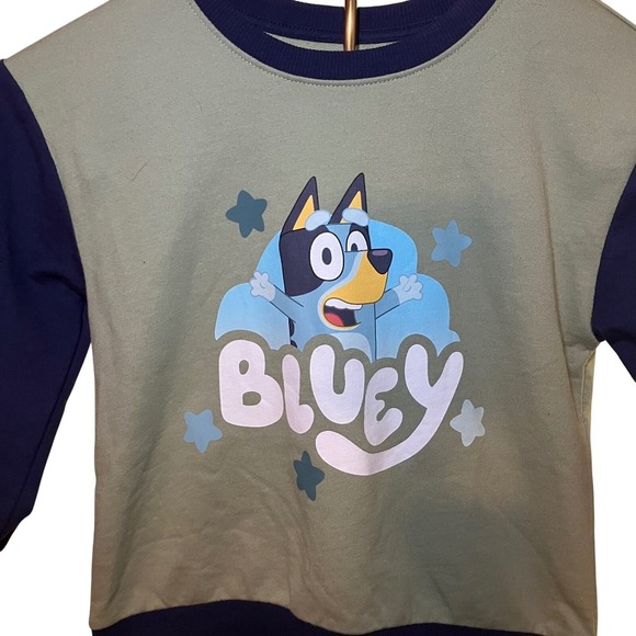 Bluey Toddler Boy's Green & Navy Long Sleeve Graphic Sweatshirt 5T Cartoon Dog - Picture 2 of 5